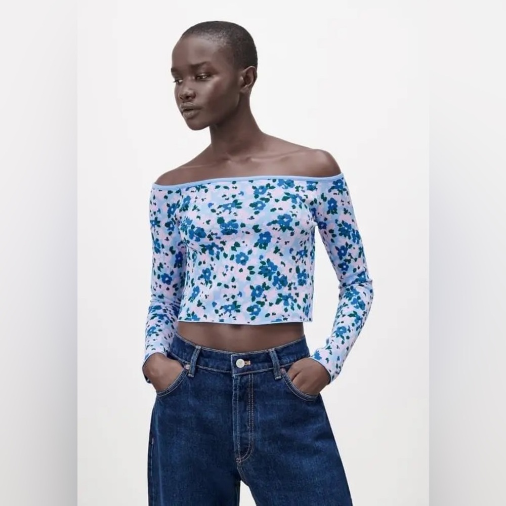 Zara Blue Floral Crop Top